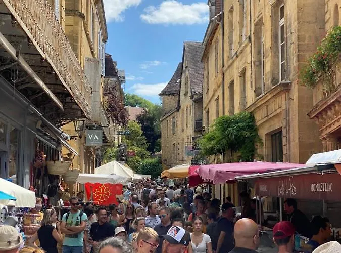 Les Flamboyants Appartamento Sarlat